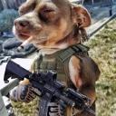 Dem