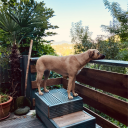 sosi.ch